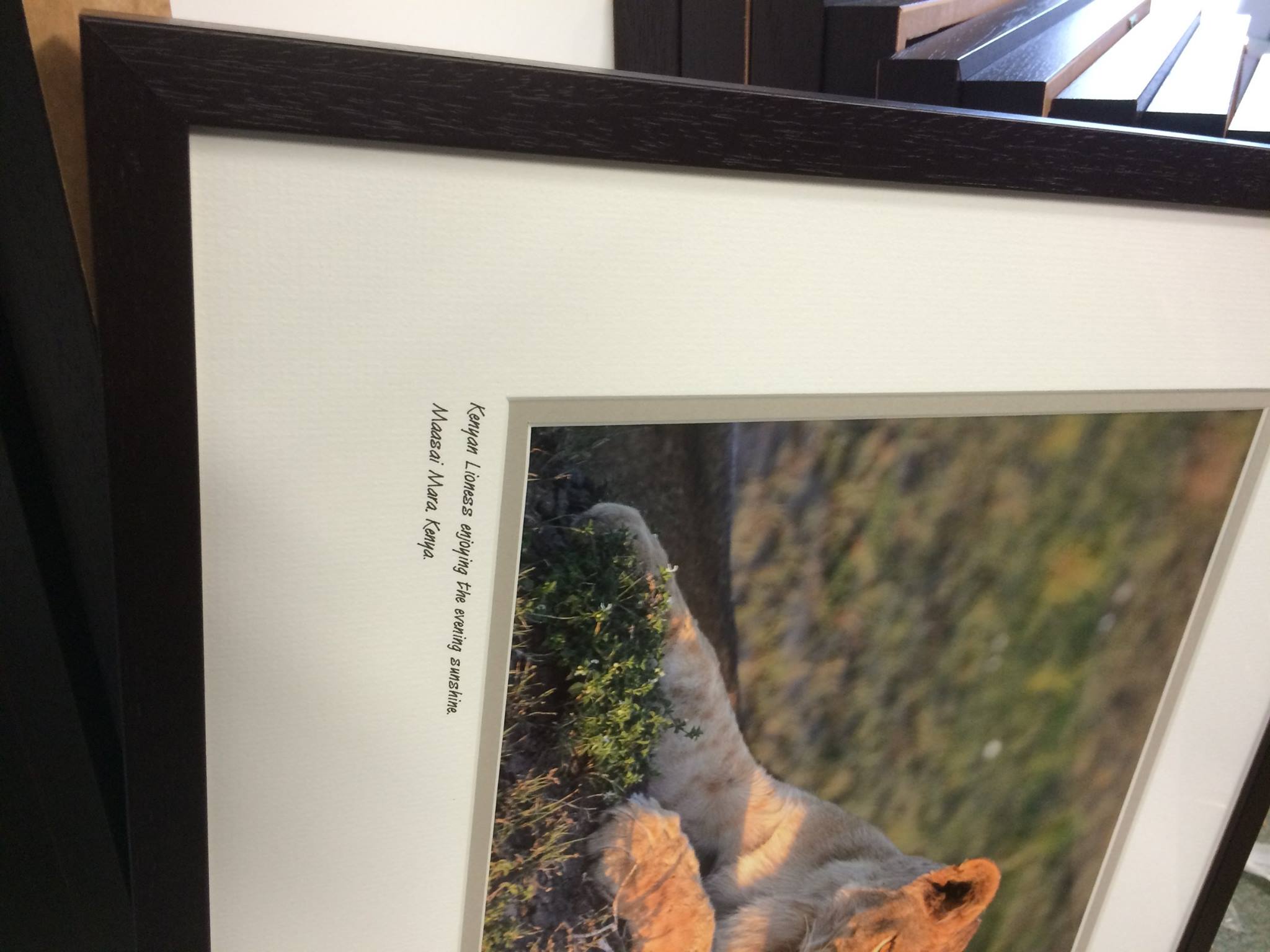 frame image 3
