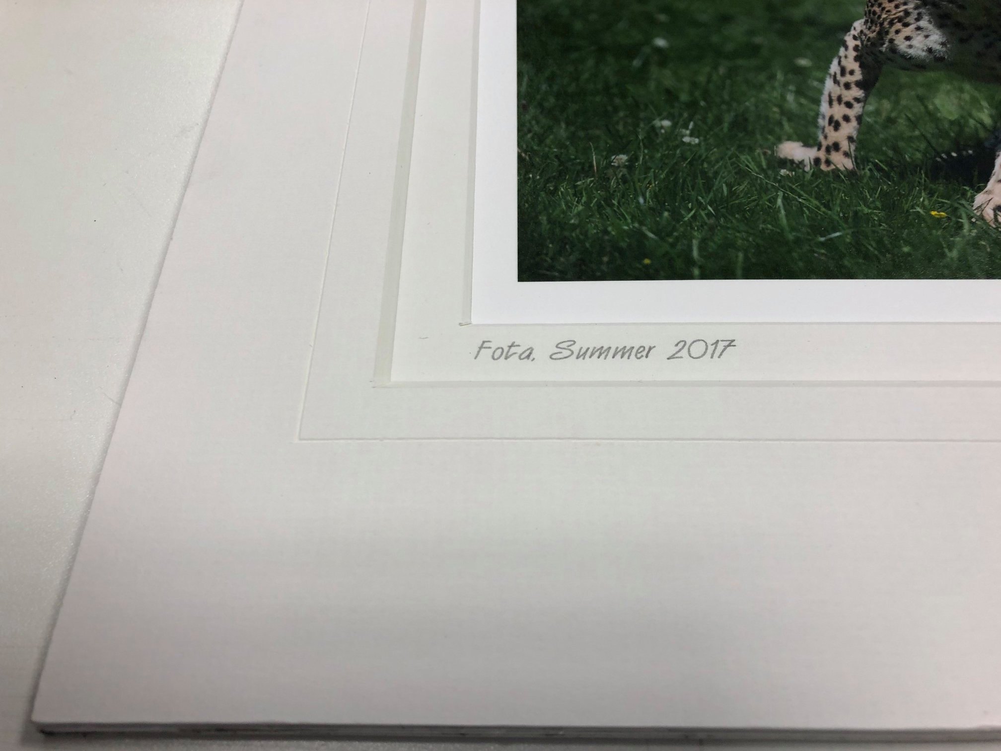 frame image 2