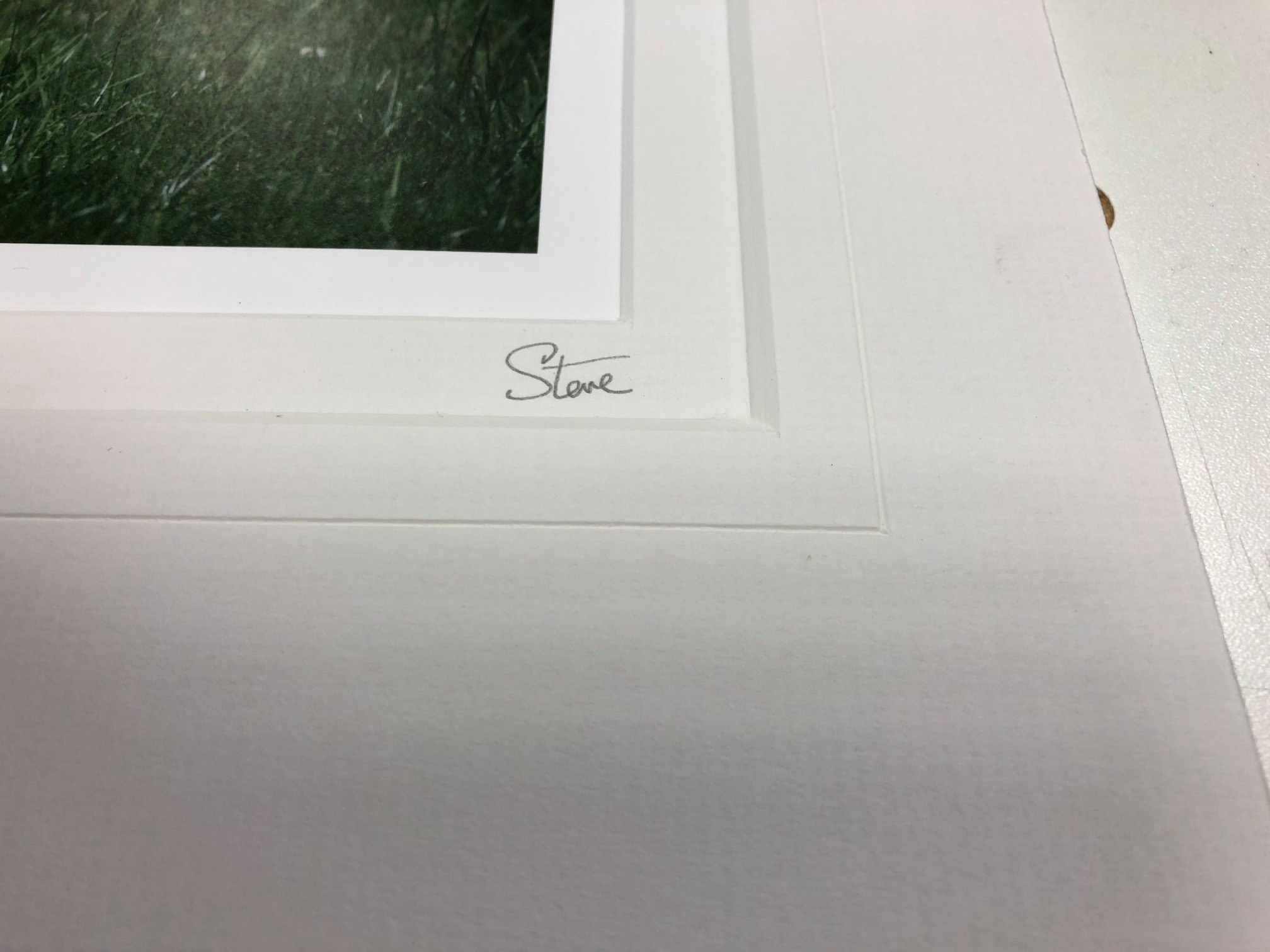 frame image 1