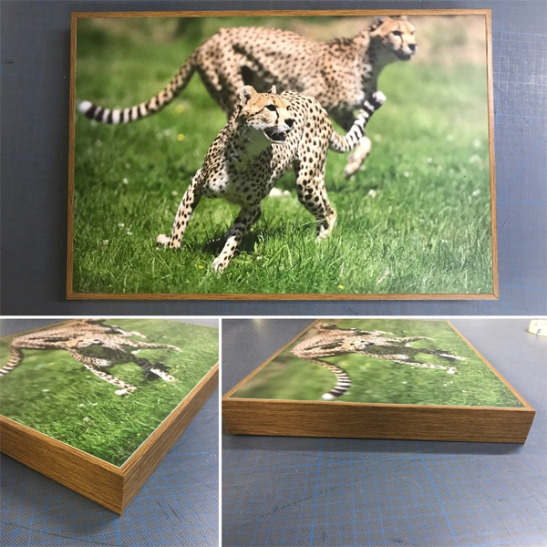 frame image 6