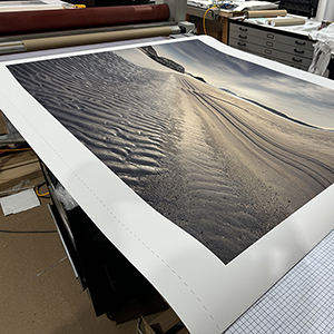 Giclee Prints