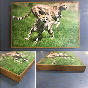 Bespoke Frames