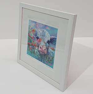 Standard frames