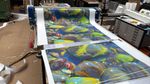 Giclee Prints 5