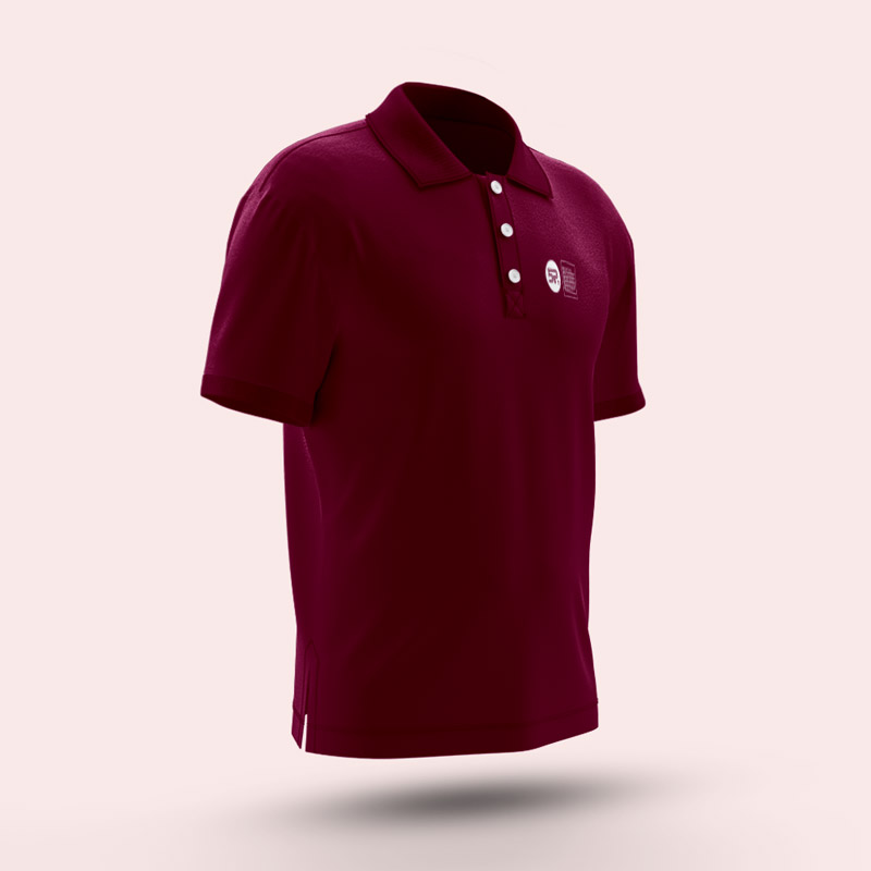 Men Polo Tshirt 2