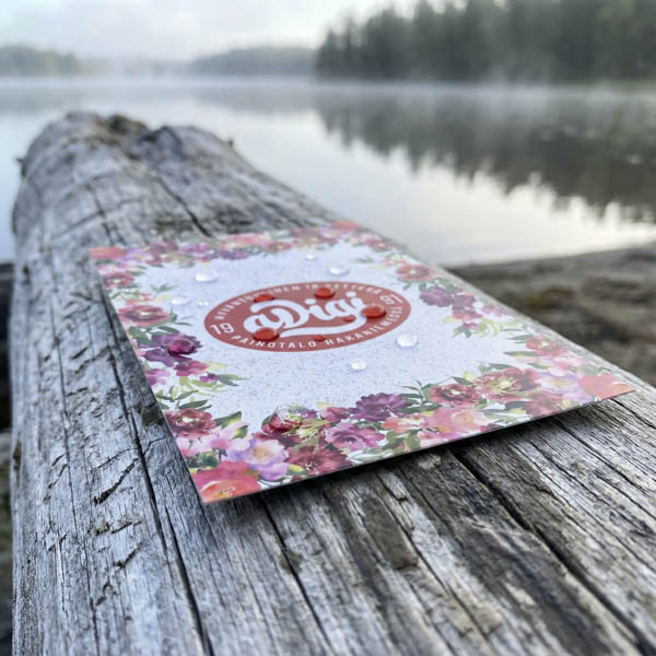 Levy, kyltti ja opaste