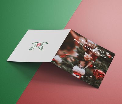 Świątecznie z ostrokrzewem