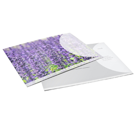 Standardowe / Czyste