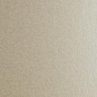 Sirio Pearl Oyster Shell 300g