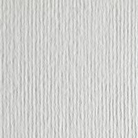 Nettuno Bianco Artico 280 g