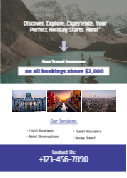Travel Flyer
