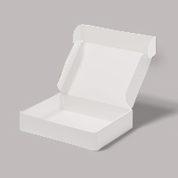 No Printing