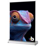 Table Top Roller Banner