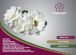 Flower 