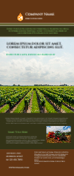 Vinyl-banner-15
