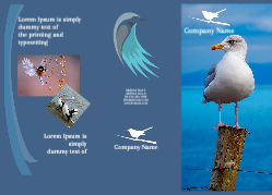 Brochure-32