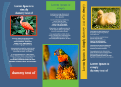 Brochure-32
