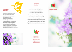 Brochure-22