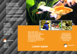 Brochure-9