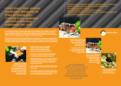 Brochure-9