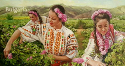 Пощенска картичка 14