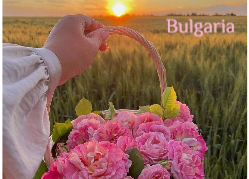Пощенска картичка 16