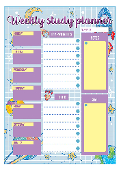 Planner 17