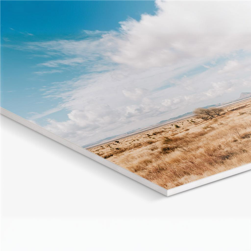 Forex with picture of desert