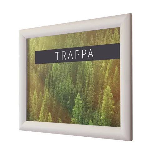 Framed Poster with picture of forest