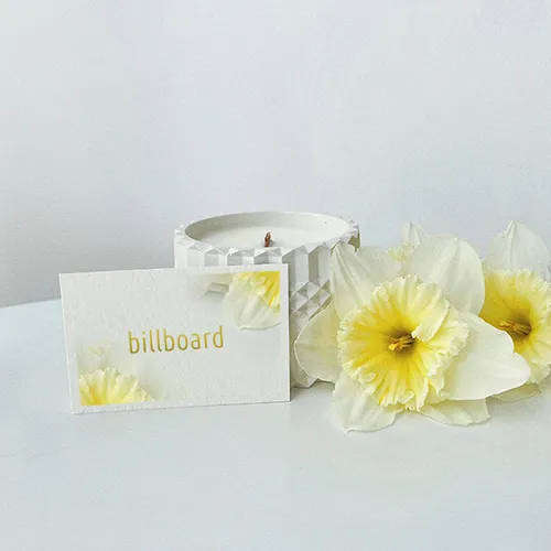 Beautiful Classic Business Cards. Krasivi klasicheski vizitki