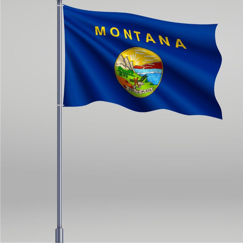 Corporate Flags 1