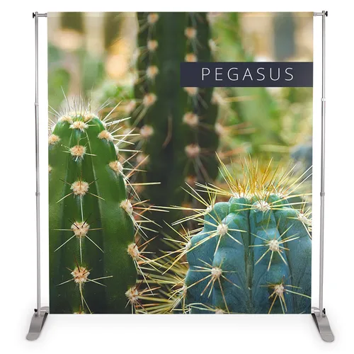 Printed tension banner.   Pechaten tensionen banerr
