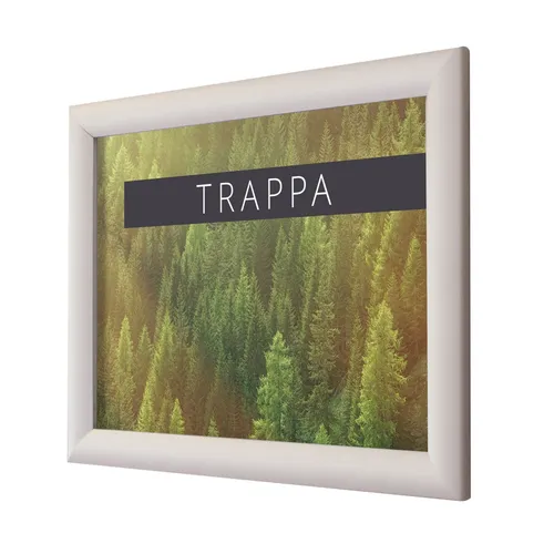 Forest Framed Poster. Lesen ramkov poster