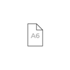 А6