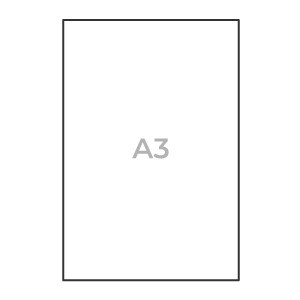 A3
