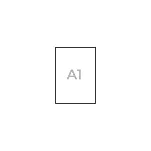 A1
