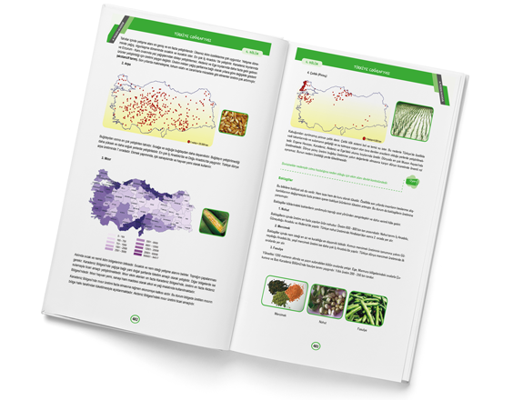 Kitap - (Renkli, Dijital WEB Baskı) kitap bastırmak