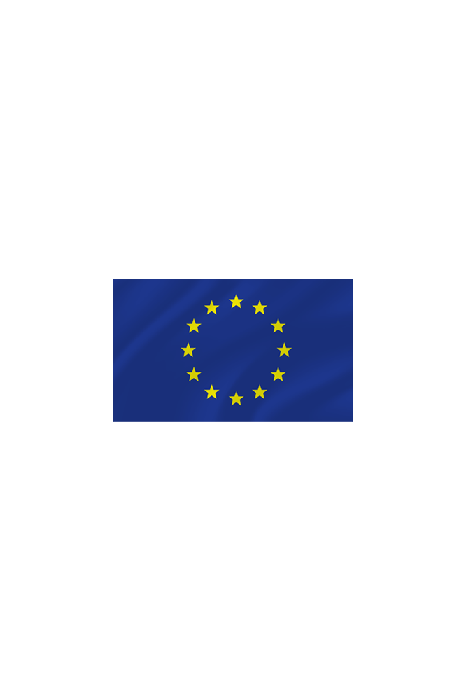 EU zastava 100 x 50 cm