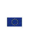 EU zastava 100 x 50 cm