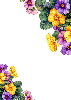 Flowers S1 - Primrose