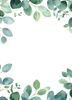 Flowers S2 - Eucalyptus Leaves Lrg