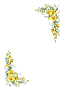 Flowers S4 - Daffodils