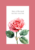 No Photo Designs - Flowers - Rose