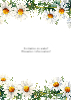 Flowers S2 - Daisies