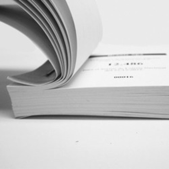 Talonario de rifas, lotería y entradas a una cara en B/N 21x7 cm.