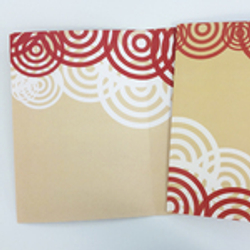 colorweb-imprimir-subcarpeta-a-doble-cara-3