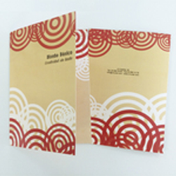 colorweb-imprimir-subcarpeta-a-doble-cara-4