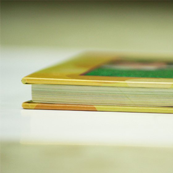 colorweb-imprimir-foto-album-apaisado-3