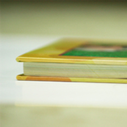 colorweb-imprimir-foto-album-apaisado-3