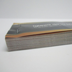 colorweb-imprimir-talonarios-entradas-loteria-rifas-color-doble-cara